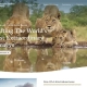 Adventure Seekers Travel Website